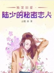 独宠旧爱陆少的秘密恋人电视剧