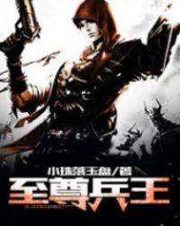至尊兵王txt下载完结
